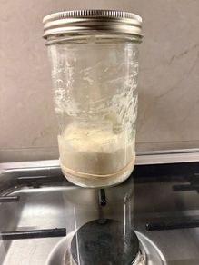 Sourdough Starter
