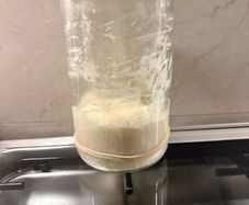 Sourdough Starter