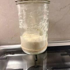 Sourdough Starter