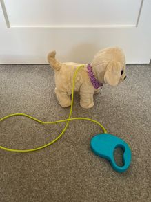 Baby Born Walking Dog