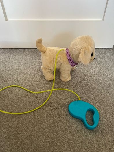 Baby Born Walking Dog