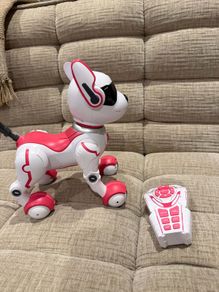 Dog Robot