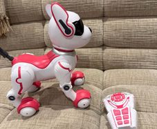 Dog Robot