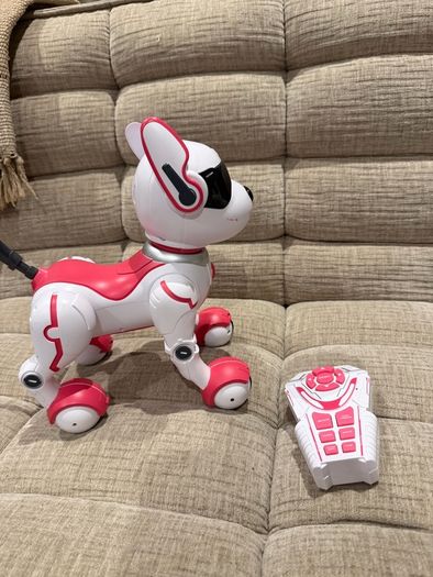 Dog Robot