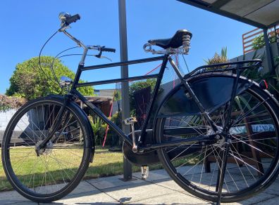 Pashley Roadster Sovereign - 5 Speed - 25.5" frame