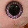 Extra Large Ty Beanie Boo Plush Soft Toy 17" Posey the Pig Image 8