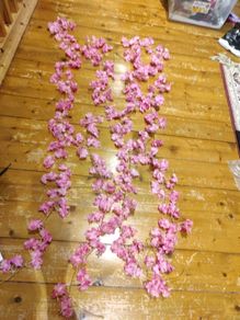 cherry blossom flowers vine