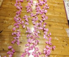cherry blossom flowers vine