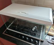 60 ltr Fish Tank