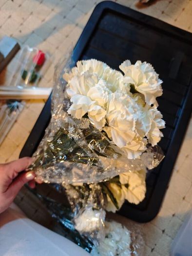 Cream carnation bundle X4 wholesale