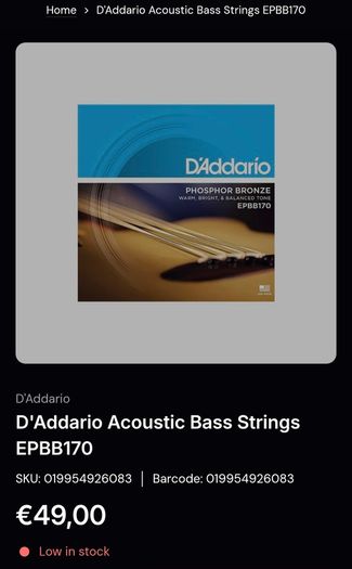 Acoustic Bass
