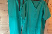Halloween Costume/Scrubs