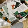 Seasoning recepie cards gift pack Image 5