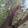 Plough and scuffler Image 9