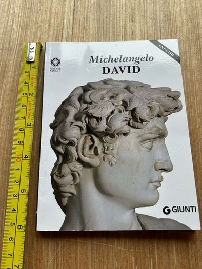 Michelangelo DAVID published by Giunt