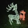 Christmas lights price reduced Image 6