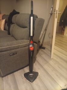 Vileda steam mop