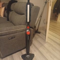 Vileda steam mop