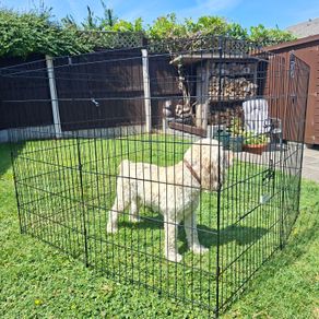 Puppy Pen / Animal Pen