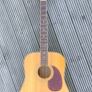Tanglewood earth 200 acoustic guitar and hard case Image 6