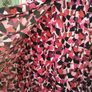 Marks and Spencers  Slinky dress knee length size 22 spring summer holidays occasions outfit Postage included Image 6