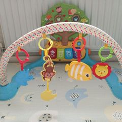 baby gym