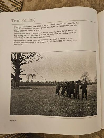 Forest Images. Fr Browne's Woodland Photographs From Emo Court Co Laois. Fabolous FIRST EDITION Large Volume Hardback In Good Condition.  See Photos For Same.