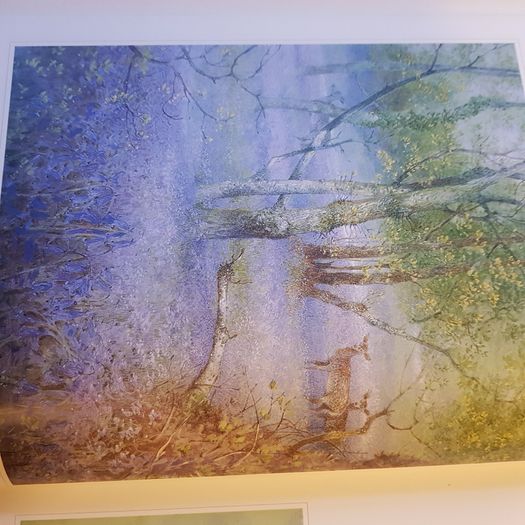 Beningfields Woodlands. Beautiful paintings by Gordan Beningfield of woodland and it birds and animals.