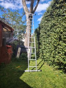Ladder