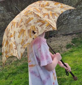Vintage Umbrella, Paragon, S Fox and co, Rare find