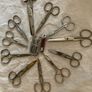 Collection of Small Scissors 12 Image 2