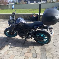 Yamaha Other 2024
