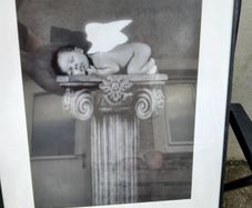 Lovely Anne Geddes Picture