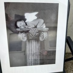 Lovely Anne Geddes Picture