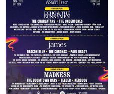 Forest Fest W/End Campervan Ticket and 2 Adult Weekend Tickets