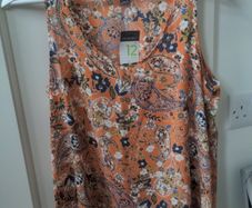 Ladies top