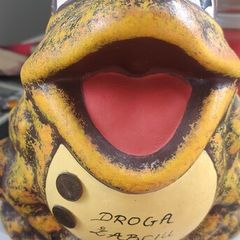 big solid frog money box