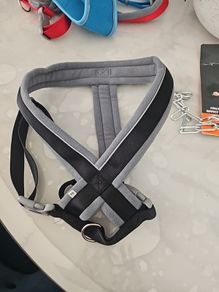 Dog Harness