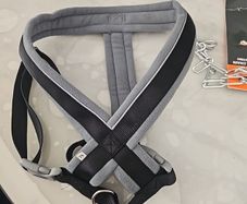 Dog Harness