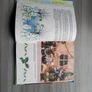 Original Sylvanian Families Annual 1998 Image 5