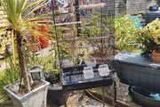 bird cage, suitable for medium size birds