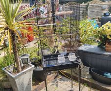 bird cage, suitable for medium size birds