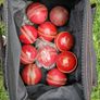 Cricket accessories Image 3