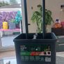 Planter Image 3