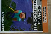 Minecraft book