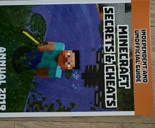 Minecraft book