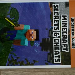 Minecraft book