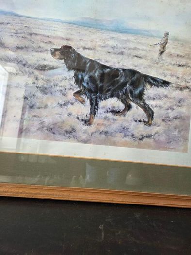 Limited edition print of Gordon Setter