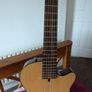 Cort Nylectric Guitar Image 2
