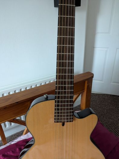 Cort Nylectric Guitar